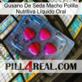 Gusano De Seda Macho Polilla Nutritiva Líquido Oral 13